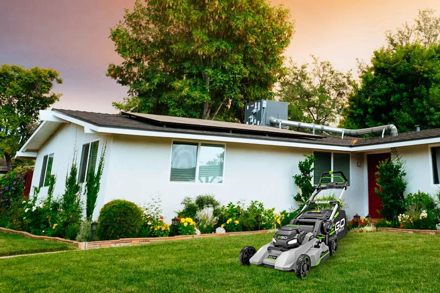 best budget mower